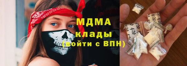 PSILOCYBIN Алзамай
