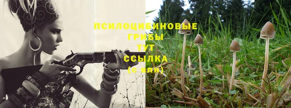 мет Пестово